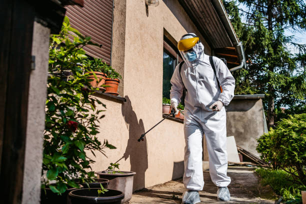Best Flea Control Services  in Bainbridge, PA