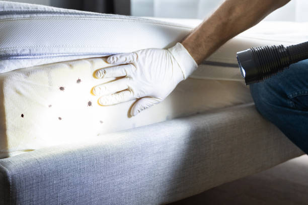 Best Affordable Pest Control Services  in Bainbridge, PA